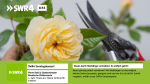 Hbbtv swr4 bw slide2.png