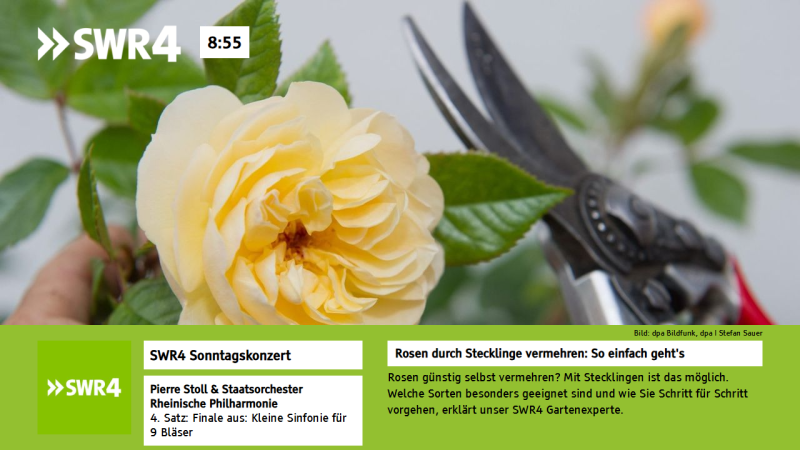Datei:Hbbtv swr4 bw slide2.png