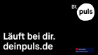 Hbbtv puls.png