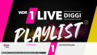 Hbbtv 1live diggi slide6.png