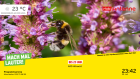 Hbbtv antenne brandenburg slide6.png