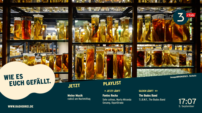 Datei:Hbbtv radio3 slide4.png