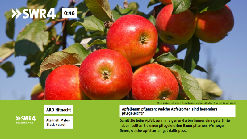 Datei:Hbbtv swr4 rp slide3.png