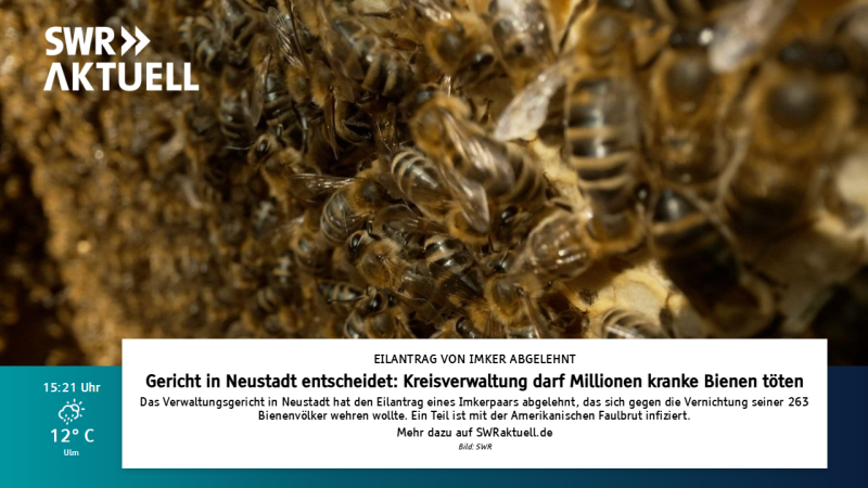 Datei:Hbbtv swr aktuell slide4.png